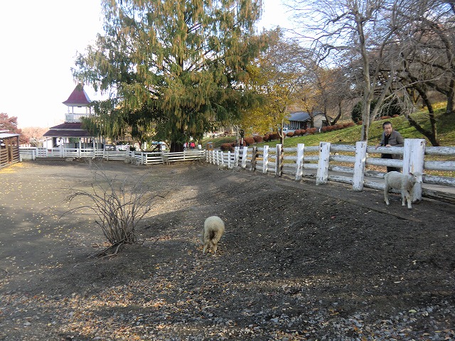 a0006033_18494528.jpg