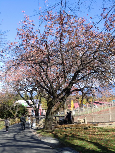 a0006033_18505250.jpg