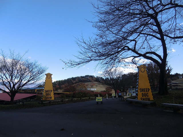 a0006033_18511874.jpg