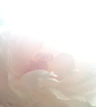 愛の糸と菊理媛様_a0258233_16562791.jpg
