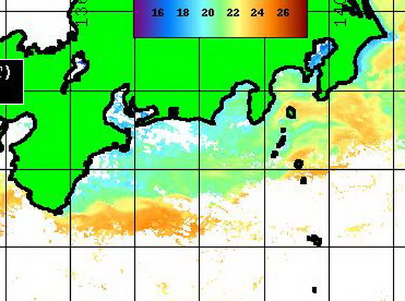 野島沖に潮が入ってきて・・・！！【カジキ・マグロトローリング】_f0009039_11001024.jpg