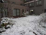 e0143145_16243954.jpg