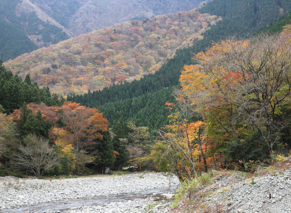 天川村　川迫川渓谷　紅葉_c0108146_224191.jpg