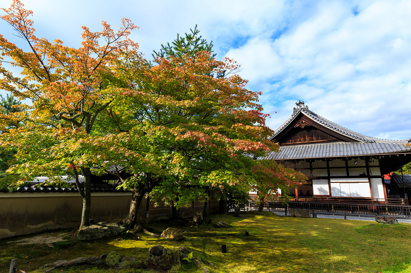 高台寺・秋景(前編)_f0155048_0291686.jpg