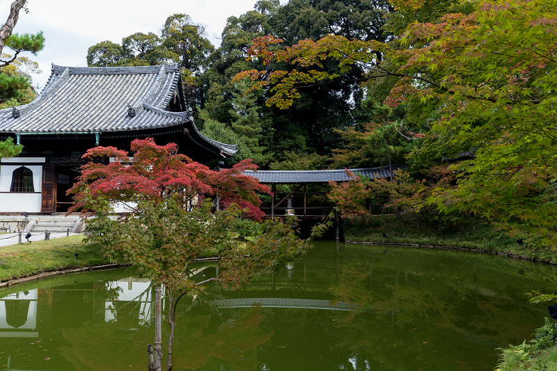 高台寺・秋景(前編)_f0155048_0293575.jpg