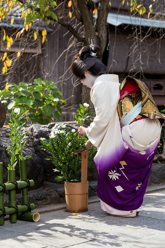 かにかくに祭(祗園甲部・紗矢佳さん、紗月さん、豆六さん、茉利佳さん)_f0155048_12123611.jpg