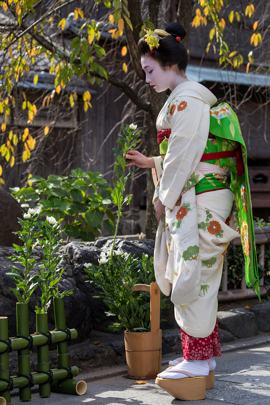 かにかくに祭(祗園甲部・紗矢佳さん、紗月さん、豆六さん、茉利佳さん)_f0155048_12132226.jpg