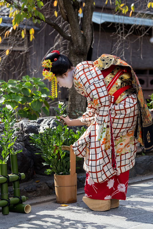 かにかくに祭(祗園甲部・紗矢佳さん、紗月さん、豆六さん、茉利佳さん)_f0155048_12135699.jpg