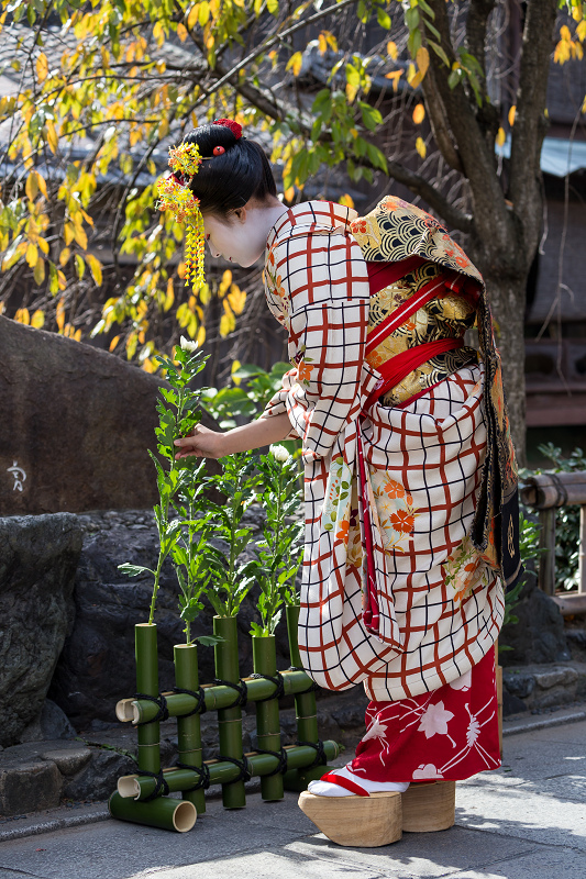 かにかくに祭(祗園甲部・紗矢佳さん、紗月さん、豆六さん、茉利佳さん)_f0155048_12143125.jpg