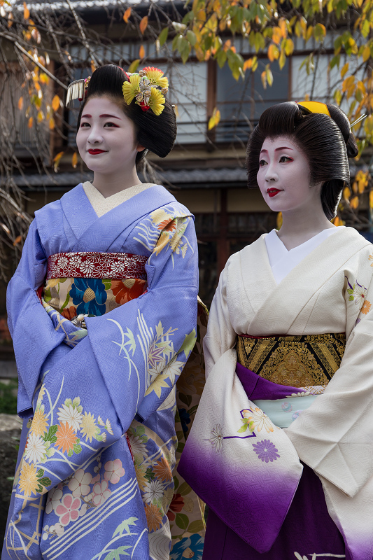かにかくに祭(祗園甲部・紗矢佳さん、紗月さん、豆六さん、茉利佳さん)_f0155048_12174891.jpg