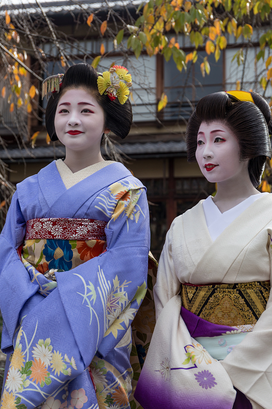 かにかくに祭(祗園甲部・紗矢佳さん、紗月さん、豆六さん、茉利佳さん)_f0155048_12175728.jpg