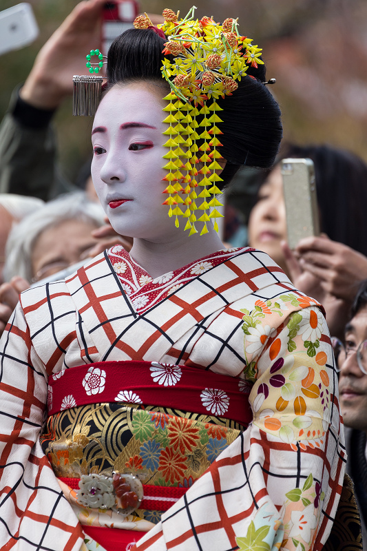 かにかくに祭(祗園甲部・紗矢佳さん、紗月さん、豆六さん、茉利佳さん)_f0155048_23184772.jpg