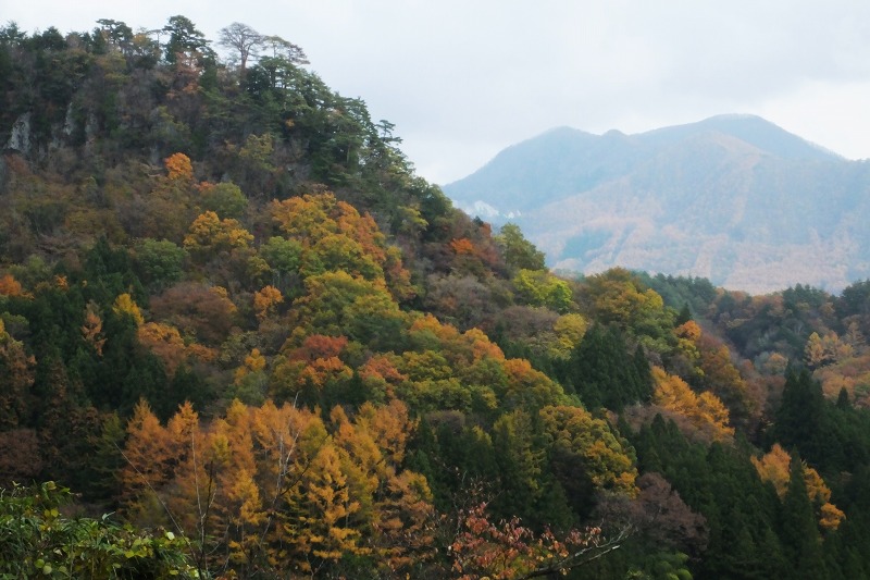 b0236251_15425576.jpg