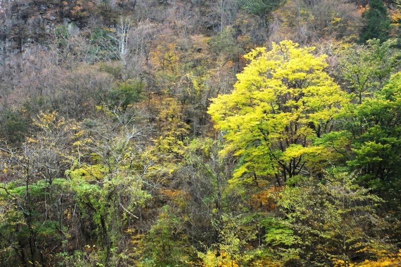 b0236251_15425666.jpg