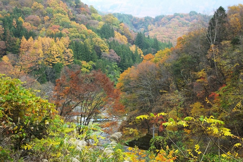 b0236251_1543730.jpg