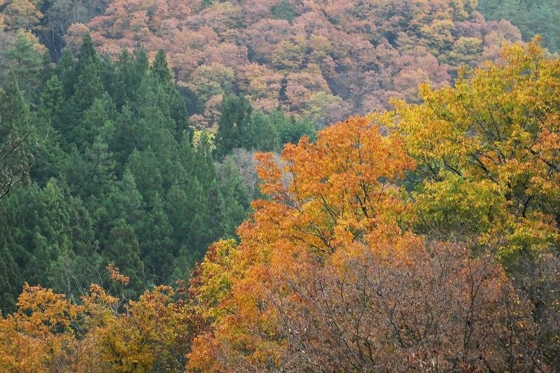 b0236251_1543895.jpg