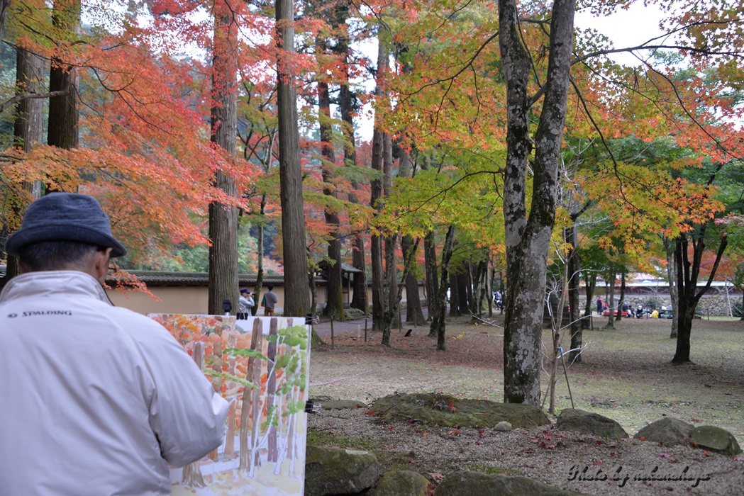 佛通寺　　紅葉をもとめて　　２０１４．１１．１２_c0122455_1754630.jpg