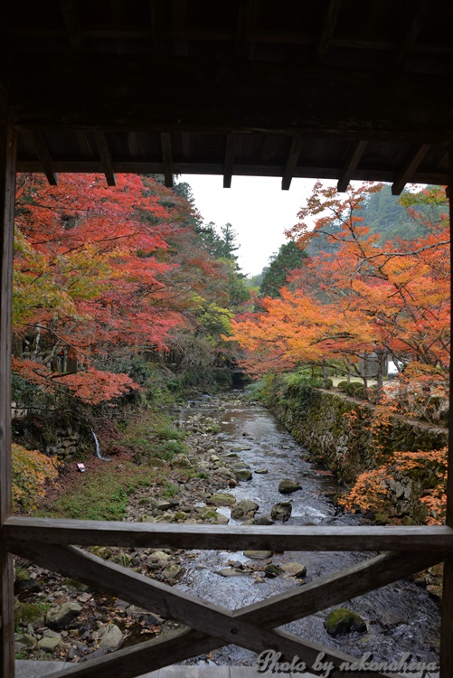 佛通寺　　紅葉をもとめて　　２０１４．１１．１２_c0122455_1755993.jpg