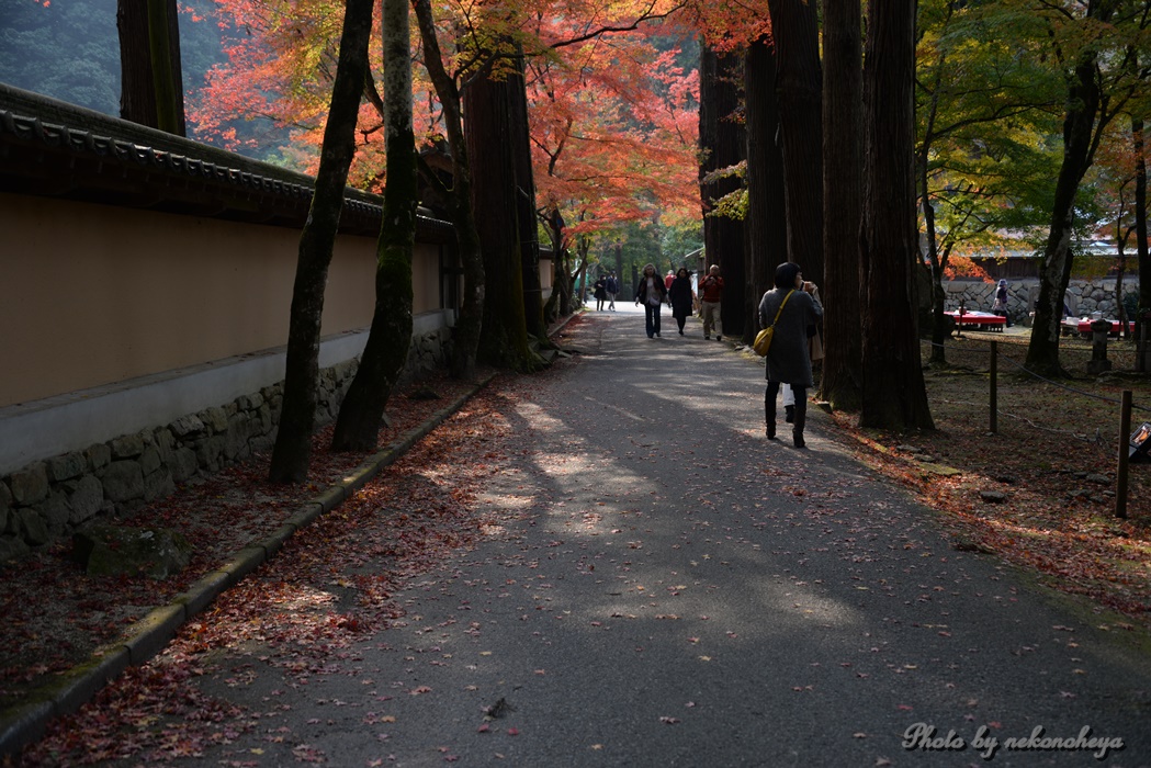 佛通寺　　紅葉をもとめて　　２０１４．１１．１２_c0122455_17571696.jpg