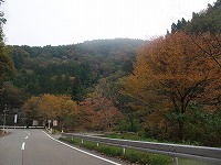 宮島峡紅葉情報_c0208355_18385872.jpg