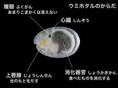 c0180460_1742652.jpg