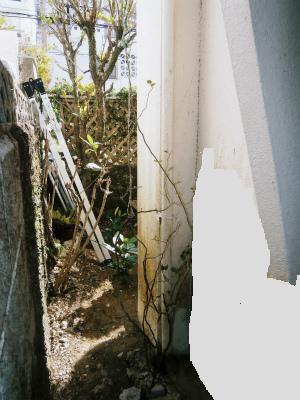 c0180460_9254967.jpg