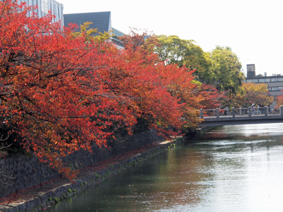 秋の京都を楽しみました。（琵琶湖疏水～鴨川）_b0112263_19271638.jpg