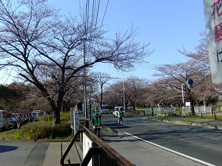 桜の名所巡り、２_a0320564_20561676.jpg