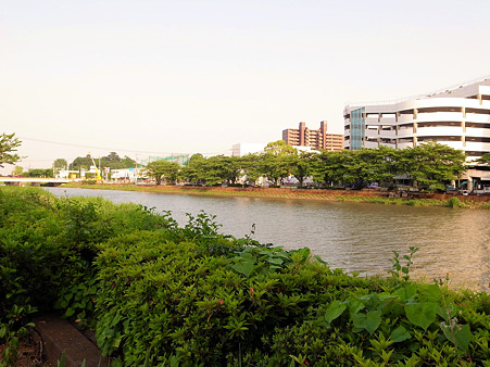 初夏の大落古利根川、後編_a0320564_21020825.jpg