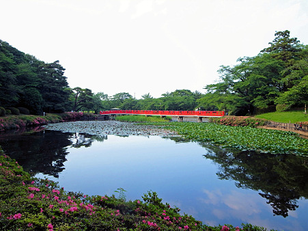 岩槻城址公園、初夏編　4_a0320564_21024440.jpg