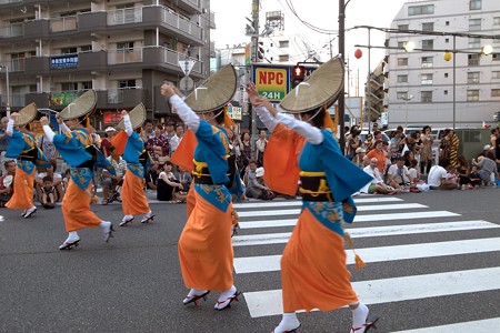 南越谷阿波踊り_a0320564_21094263.jpg