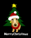 e0196465_16283817.gif