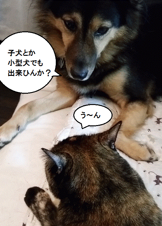 f0253473_085512.gif