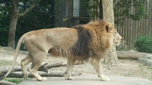 e0197983_158282.jpg