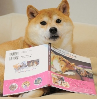 幸せベッド_a0126590_05581302.jpg