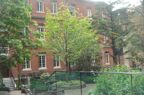 b0101991_1212052.jpg