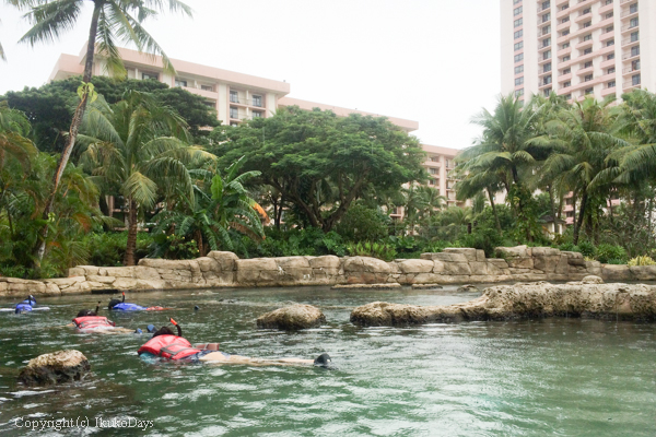 Picグアムホテル 泳げる水族館 アクティブな大人旅 In Guam Ikukodays