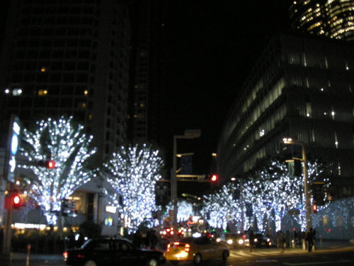c0177198_8272049.jpg