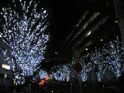c0177198_8274284.jpg