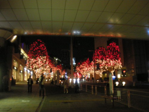 c0177198_8302444.jpg