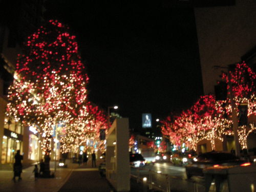 c0177198_8344052.jpg