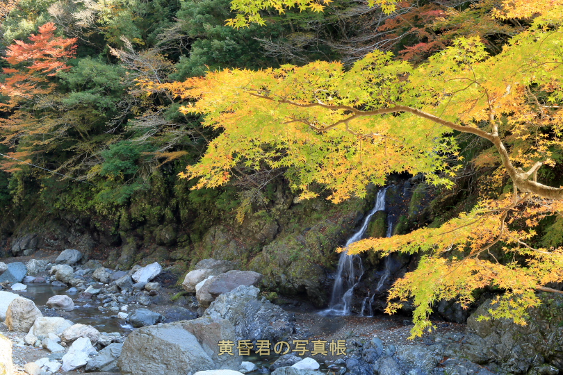 c0278800_10593439.jpg