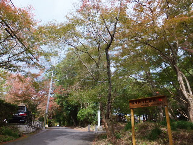 a0271502_15564117.jpg