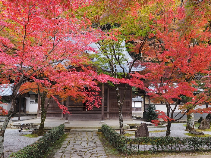 紅葉ツーリング　2014　第3弾－永源寺－_e0075403_17304787.jpg