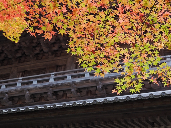 紅葉ツーリング　2014　第3弾－永源寺－_e0075403_1730861.jpg