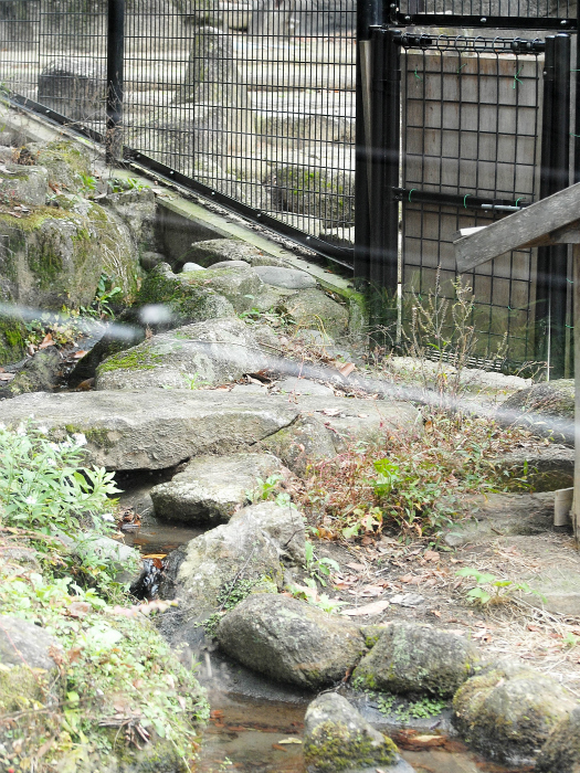 a0164204_22373279.jpg