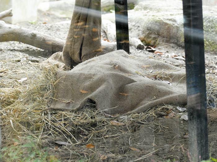 a0164204_22513615.jpg