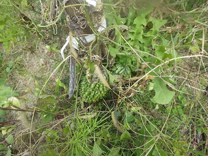 c0280206_22103276.jpg