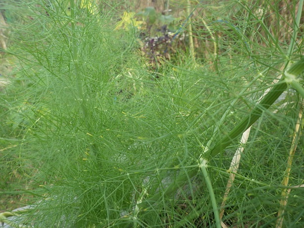 c0280206_22174019.jpg