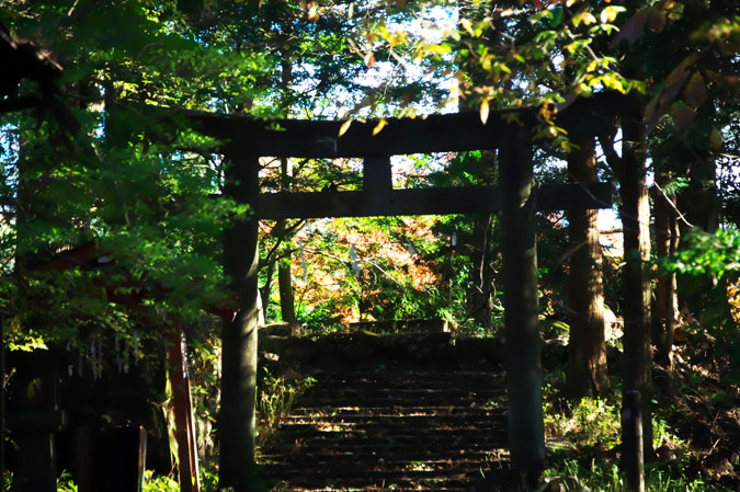 日光山内　四本龍寺と二荒山神社本宮_a0263109_1394689.jpg